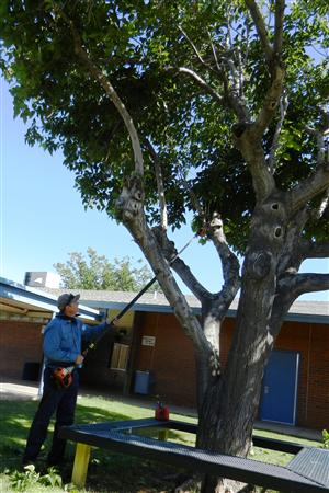 Classified Careers Phoenix School District 